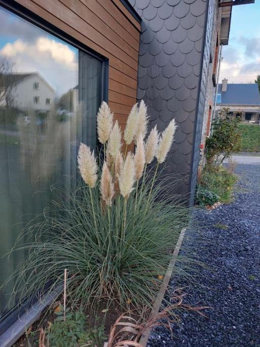 Le Reposoir Maison Spacieuse Avec Feu Au Bois Bertogne Zewnętrze zdjęcie